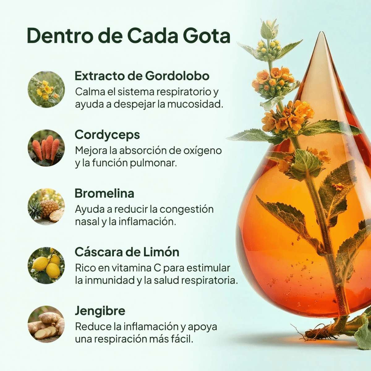¡Elimina la Mucosidad Atascada y Recupera una Respiración Fácil en Solo 7 Días!